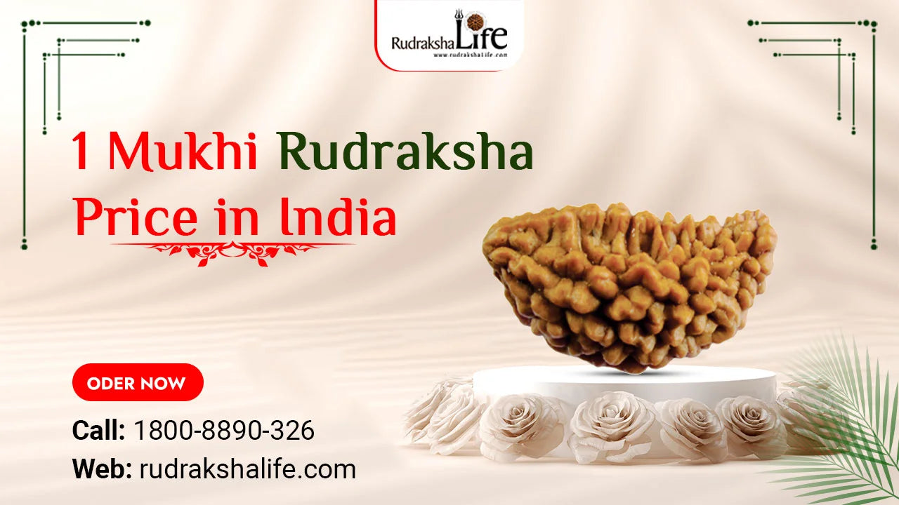 1 Mukhi Rudraksha Price in India