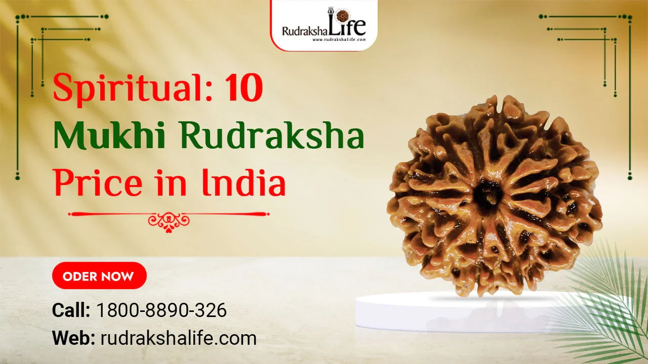 Spiritual 10 Mukhi Rudraksha Price in India