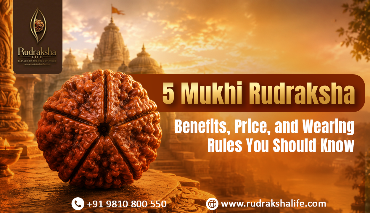 5 Mukhi Rudraksha Benefits, Price, and Wearing Rules You Should Know