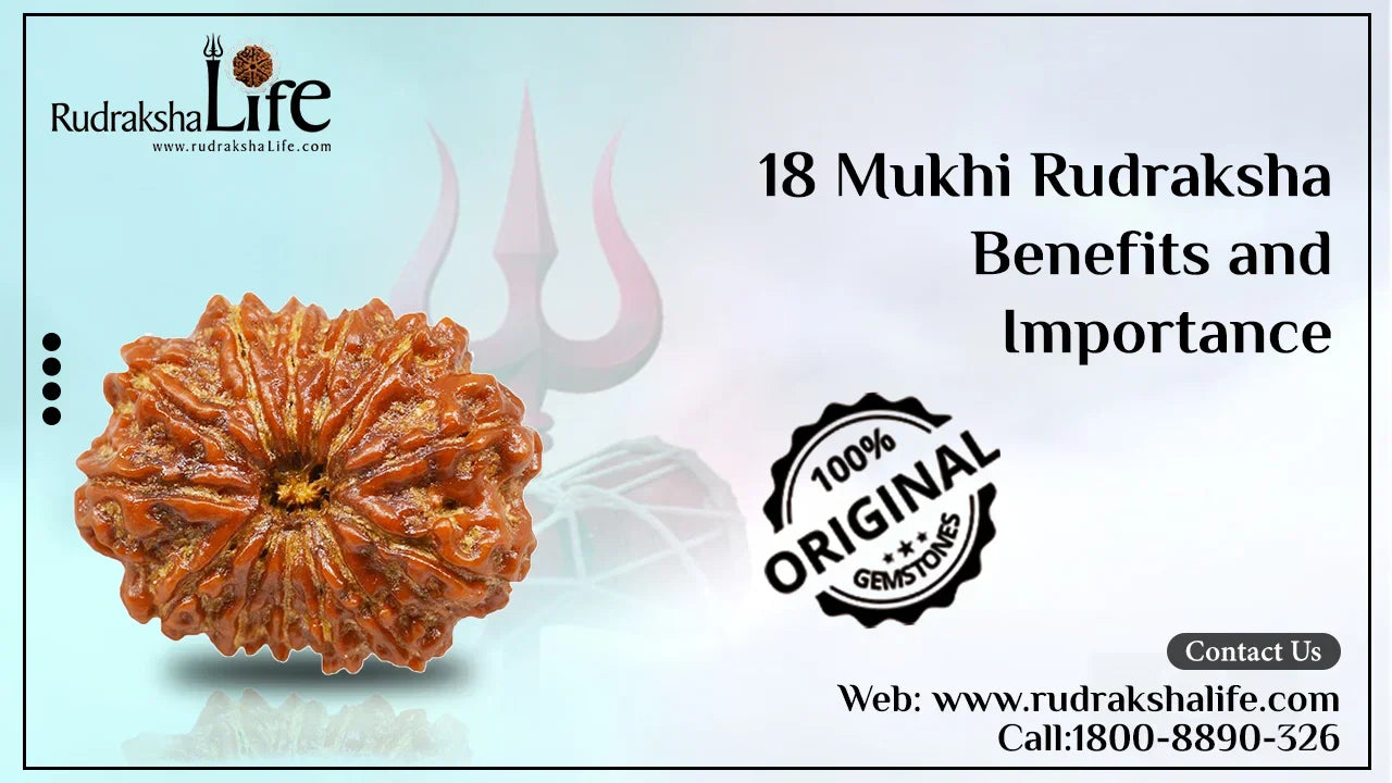 18 Mukhi Rudraksha Benefits and Importance