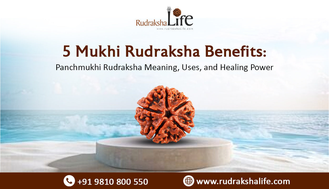 5 Mukhi Rudraksha Benefits: Panchmukhi Rudraksha Meaning, Uses, and Healing Power