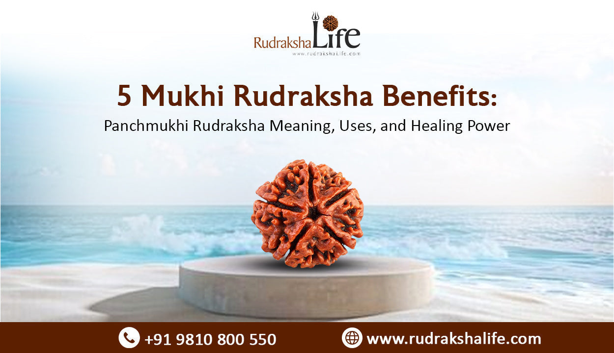 5 Mukhi Rudraksha Benefits: Panchmukhi Rudraksha Meaning, Uses, and Healing Power