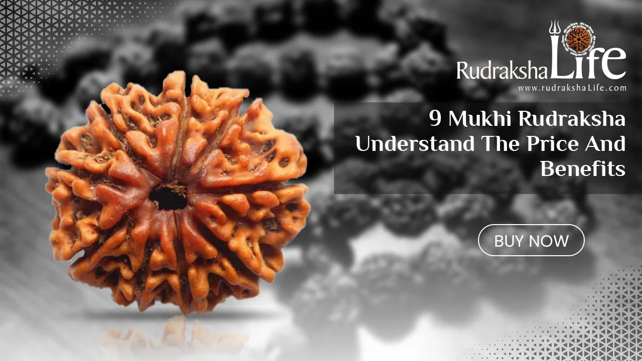Powerful 9 Mukhi Rudraksha: Experience The Power of Navdurga