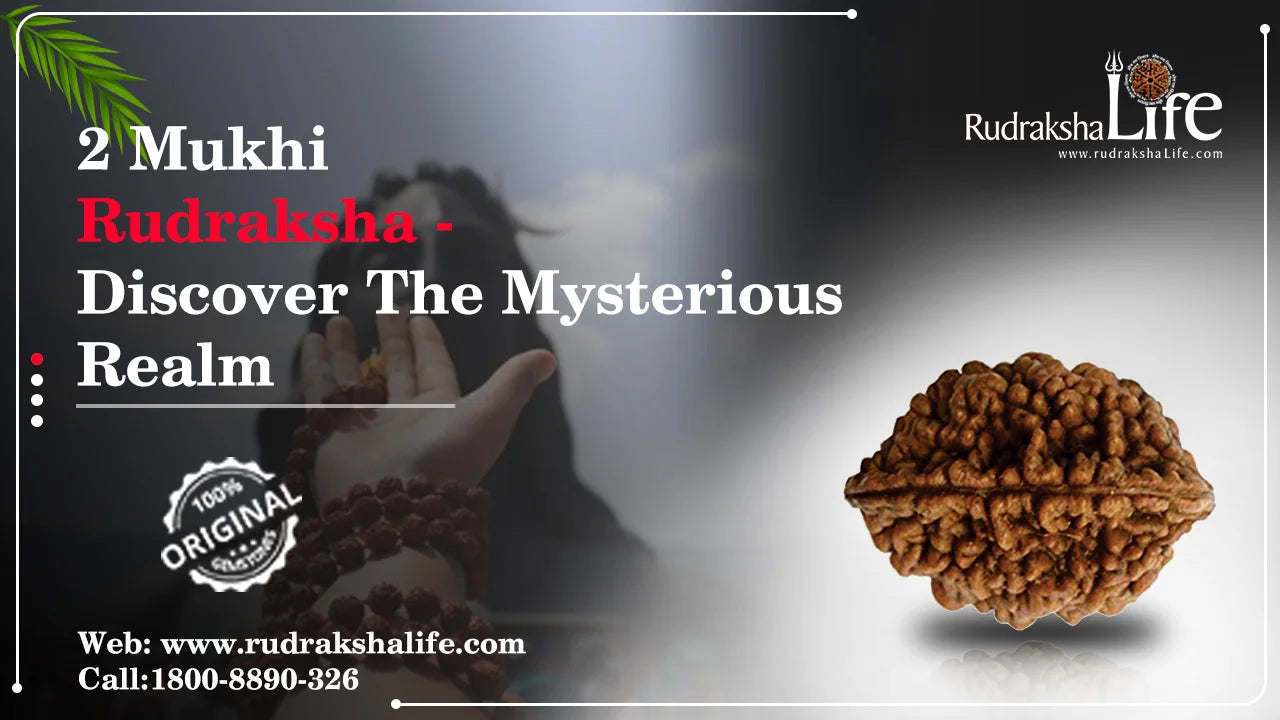 2 Mukhi Rudraksha – Discover The Mysterious Realm