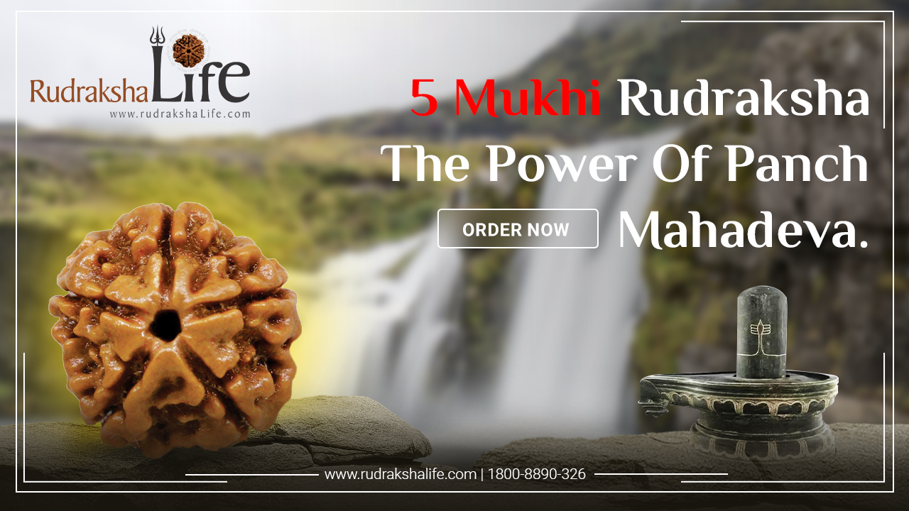 5 Mukhi Rudraksha – The Power Of Panch Mahadeva