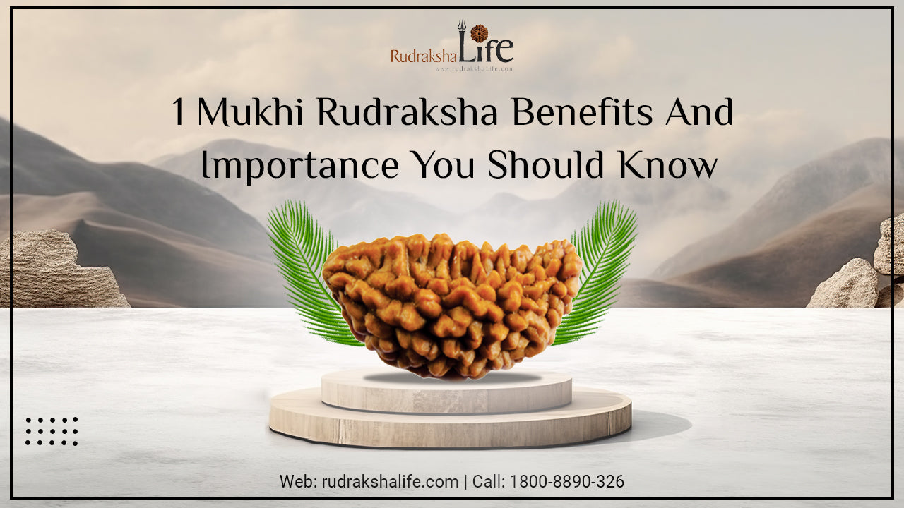 1 Mukhi Rudraksha Benefits And Importance You Should Know