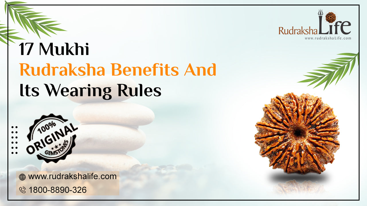 17 Mukhi Rudraksha Benefits And Its Wearing Rules