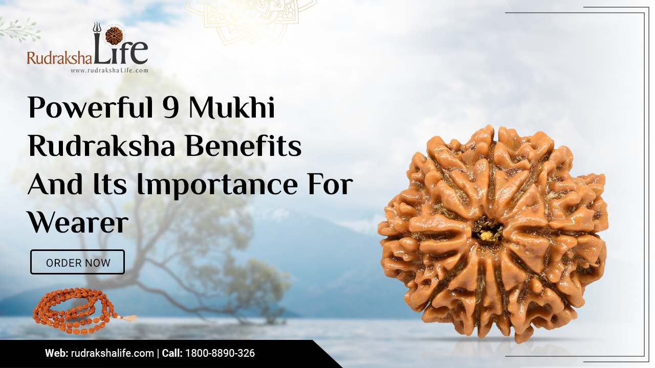 Powerful 9 Mukhi Rudraksha Benefits And Its Importance For Wearer