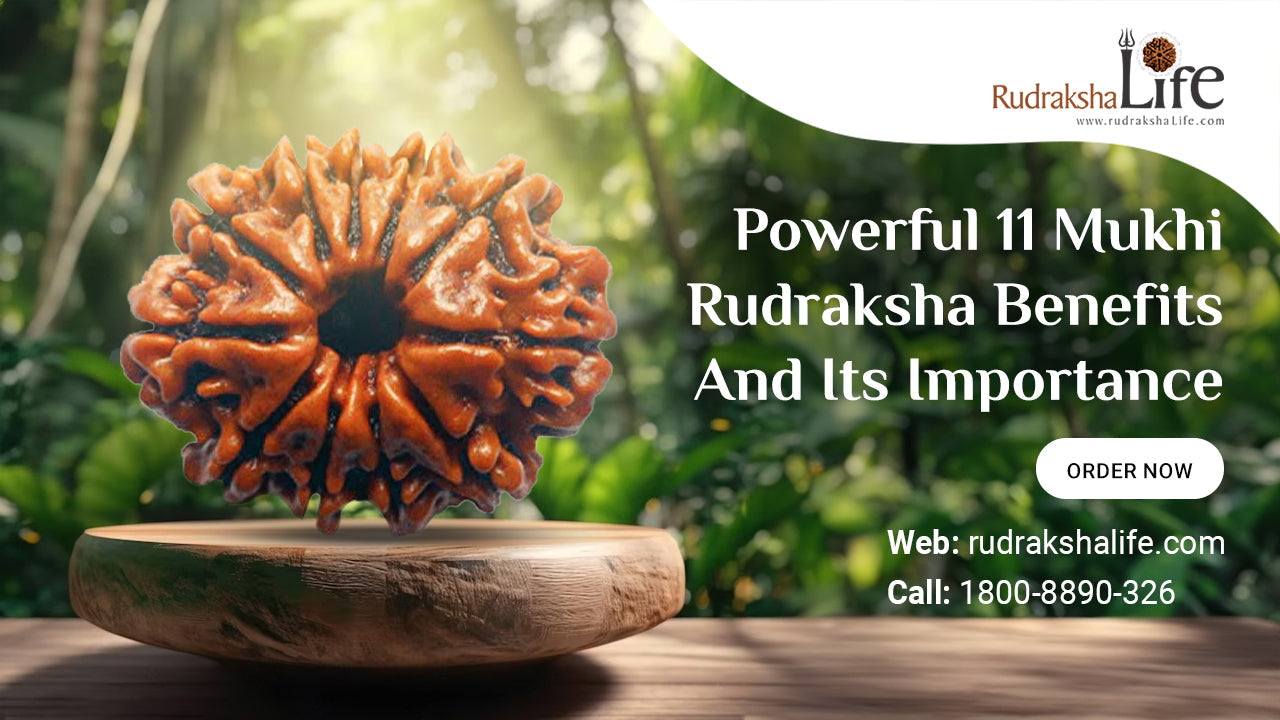 Powerful 11 Mukhi Rudraksha Benefits And Its Importance