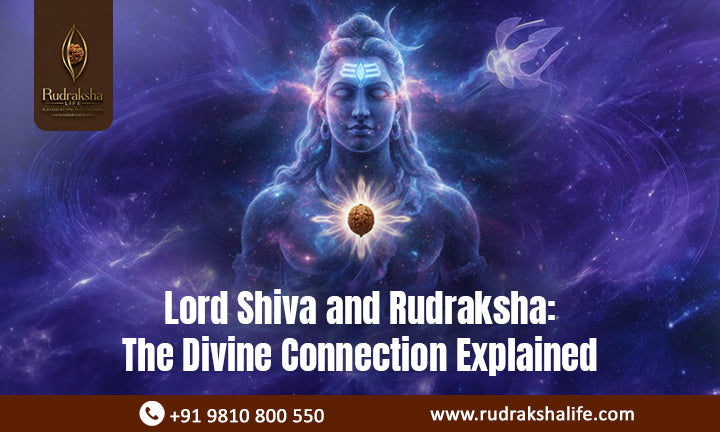 Lord Shiva and Rudraksha: The Divine Connection Explained