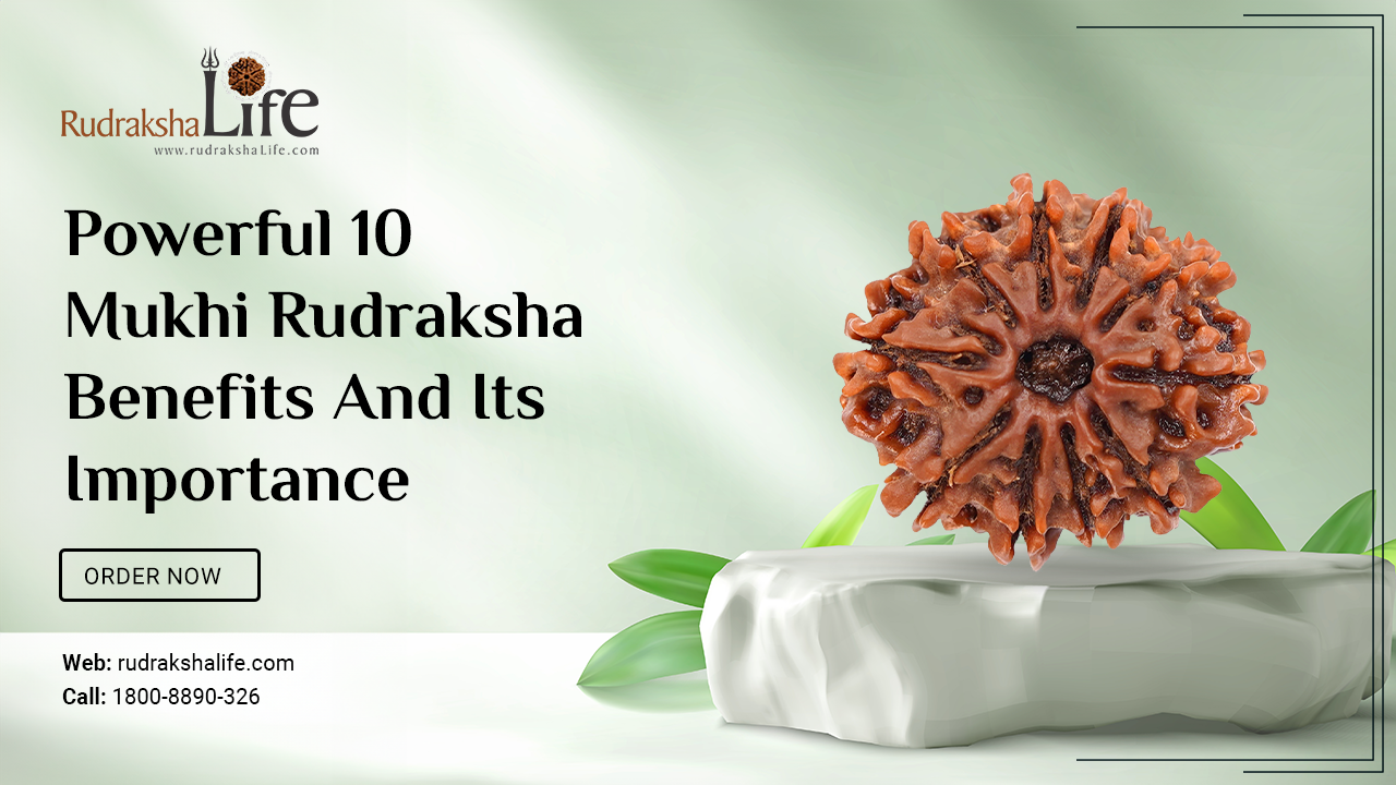 Powerful 10 Mukhi Rudraksha Benefits And Its Importance