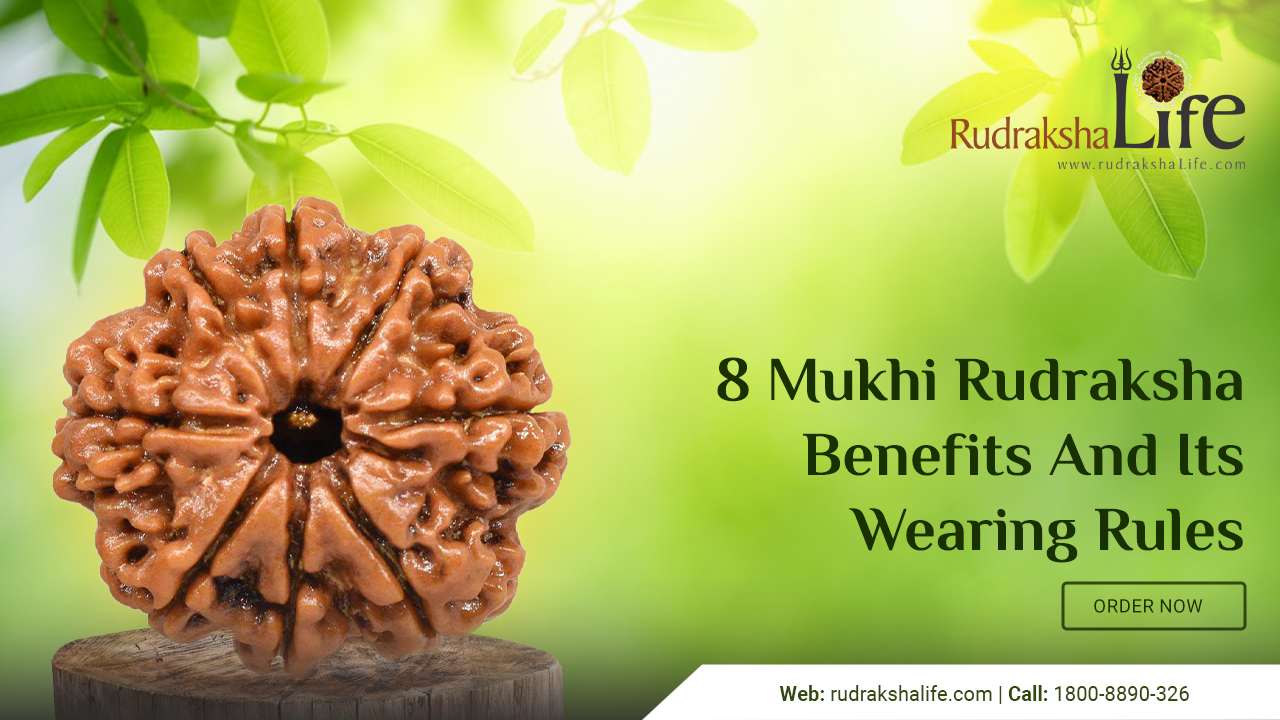 8 Mukhi Rudraksha Benefits And Its Wearing Rules