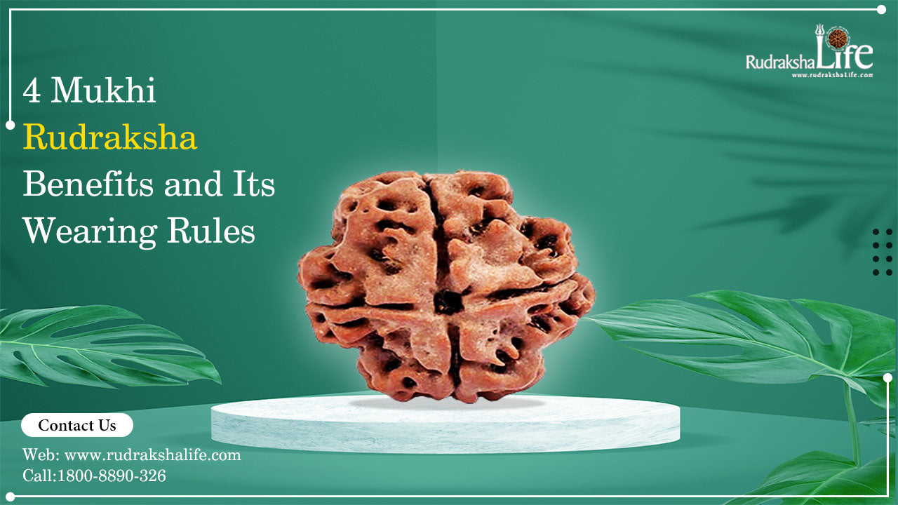 4 Mukhi Rudraksha Benefits and Its Wearing Rules