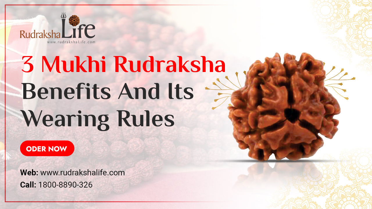 3 Mukhi Rudraksha Benefits And Its Wearing Rules