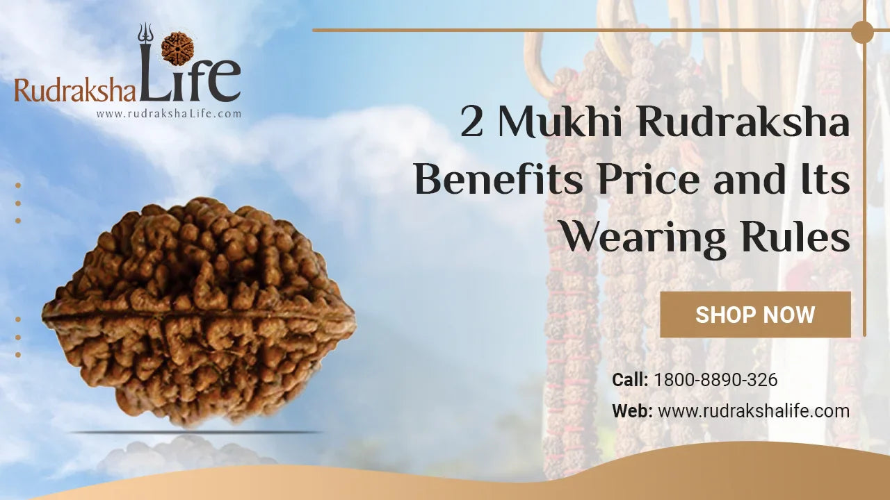 2 Mukhi Rudraksha Benefits and Its Wearing Rules