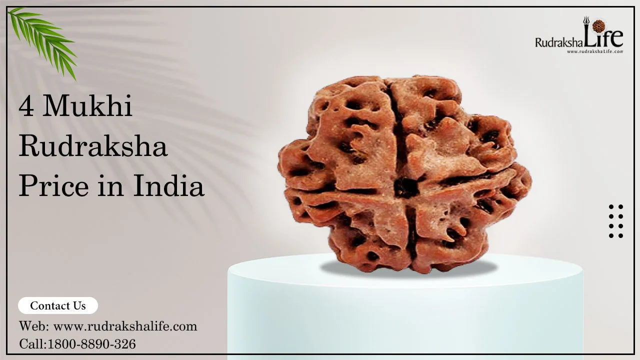 4 Mukhi Rudraksha Price in India