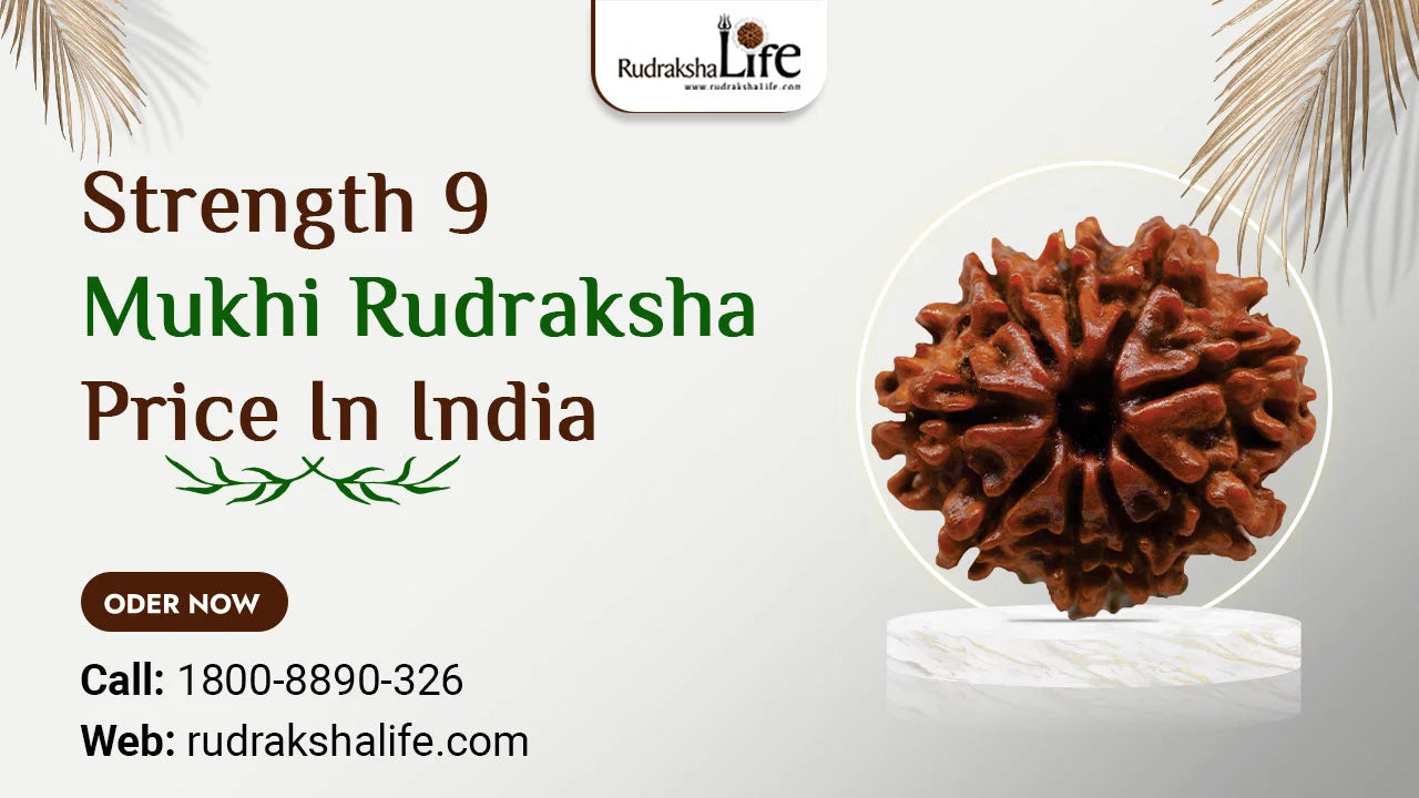 Strength 9 Mukhi Rudraksha Price In India