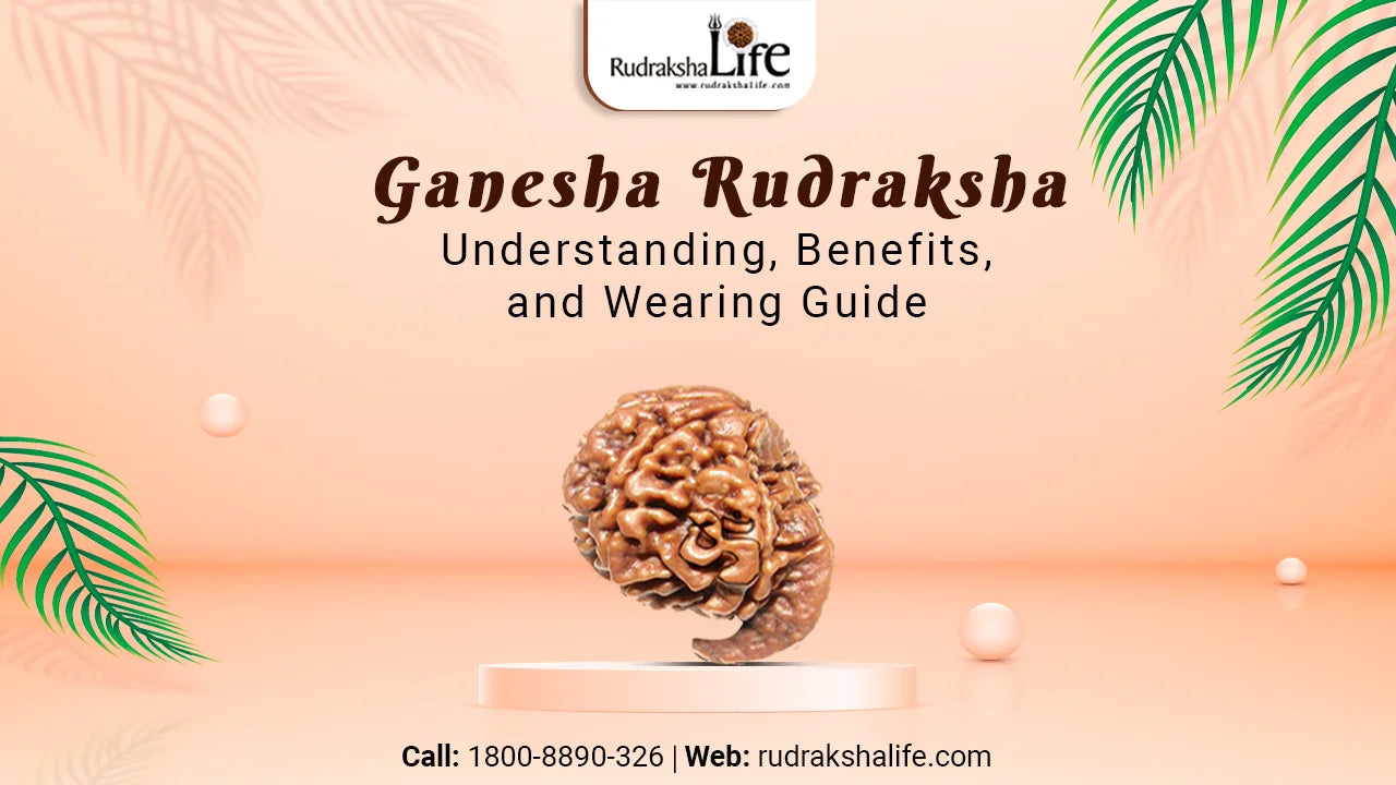 Ganesha Rudraksha: Understanding, Benefits, and Wearing Guide