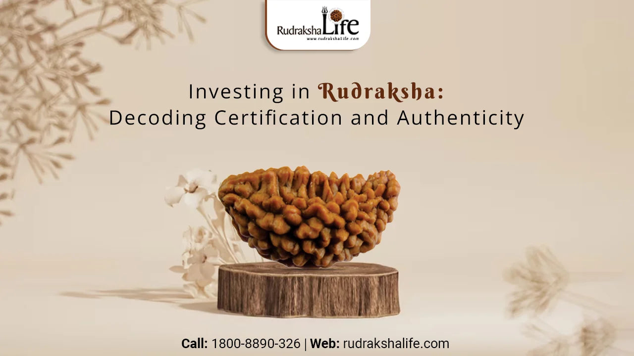 Investing in Rudraksha: Decoding Certification and Authenticity