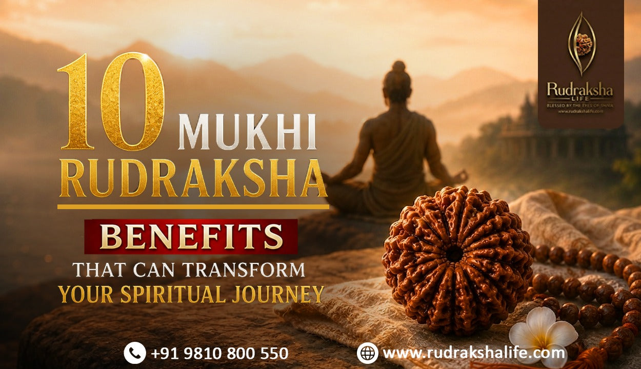 10 Mukhi Rudraksha Benefits 