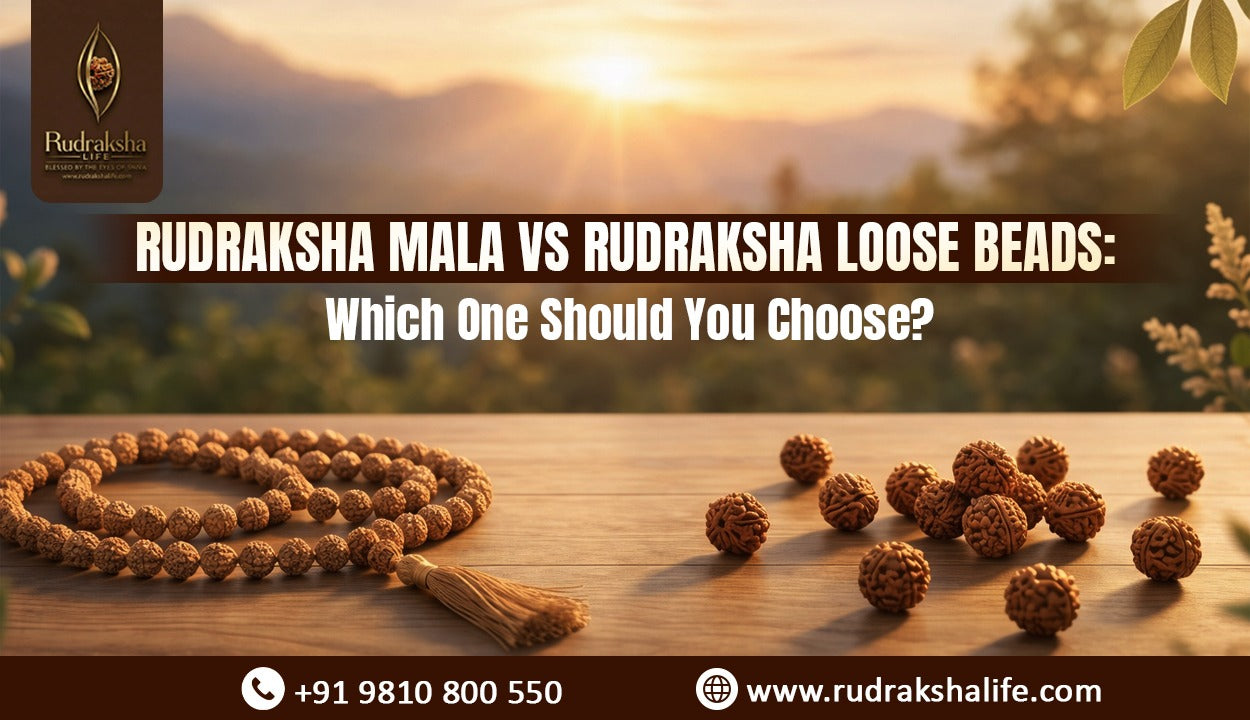 Rudraksha Mala vs Rudraksha Loose Beads: Which One Should You Choose?