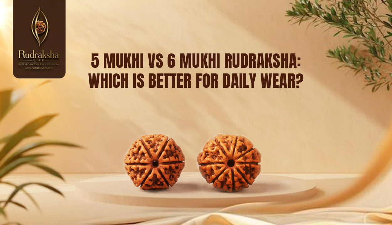 5 Mukhi vs 6 Mukhi Rudraksha: Which is Better for Daily Wear?