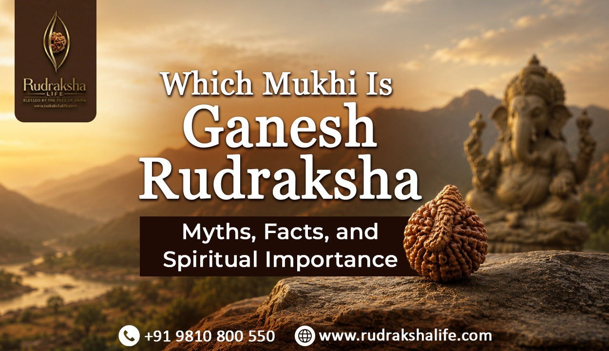 Which Mukhi Is Ganesh Rudraksha