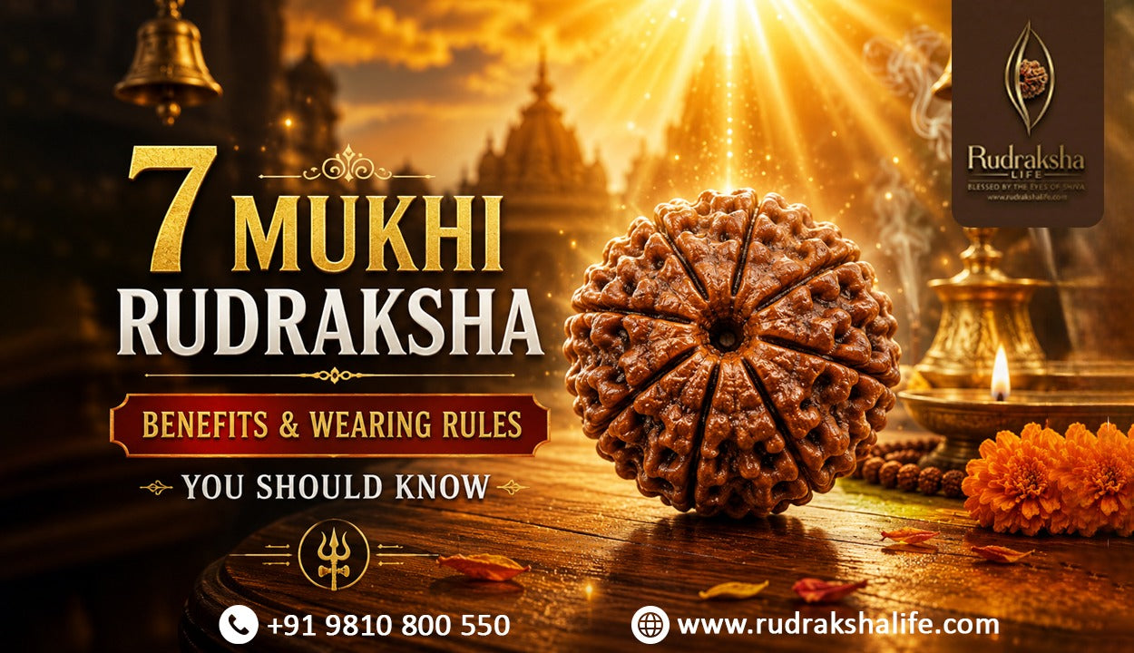 7 Mukhi Rudraksha: Benefits & Wearing Rules You Should Know
