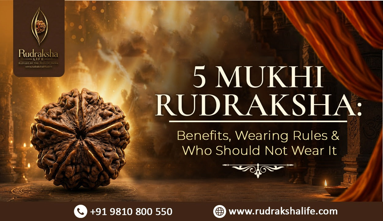 5 Mukhi Rudraksha: Benefits, Wearing Rules & Who Should Not Wear It