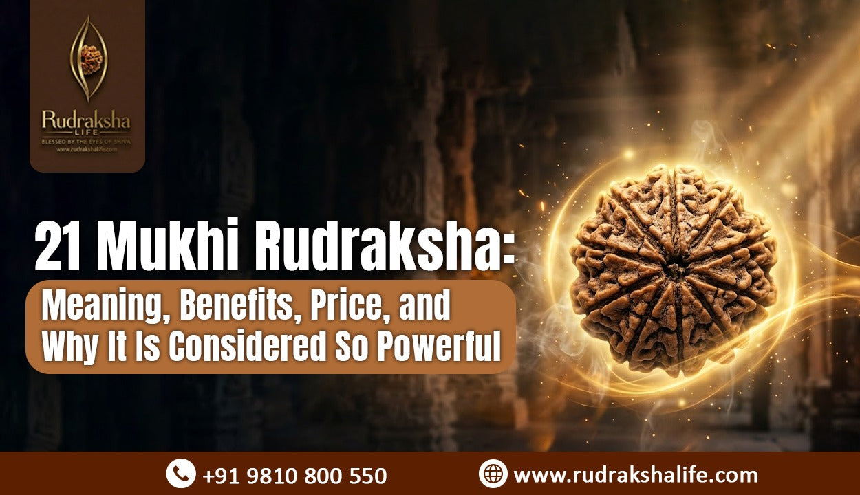21 Mukhi Rudraksha: Meaning, Benefits, Price, and Why It Is Considered So Powerful