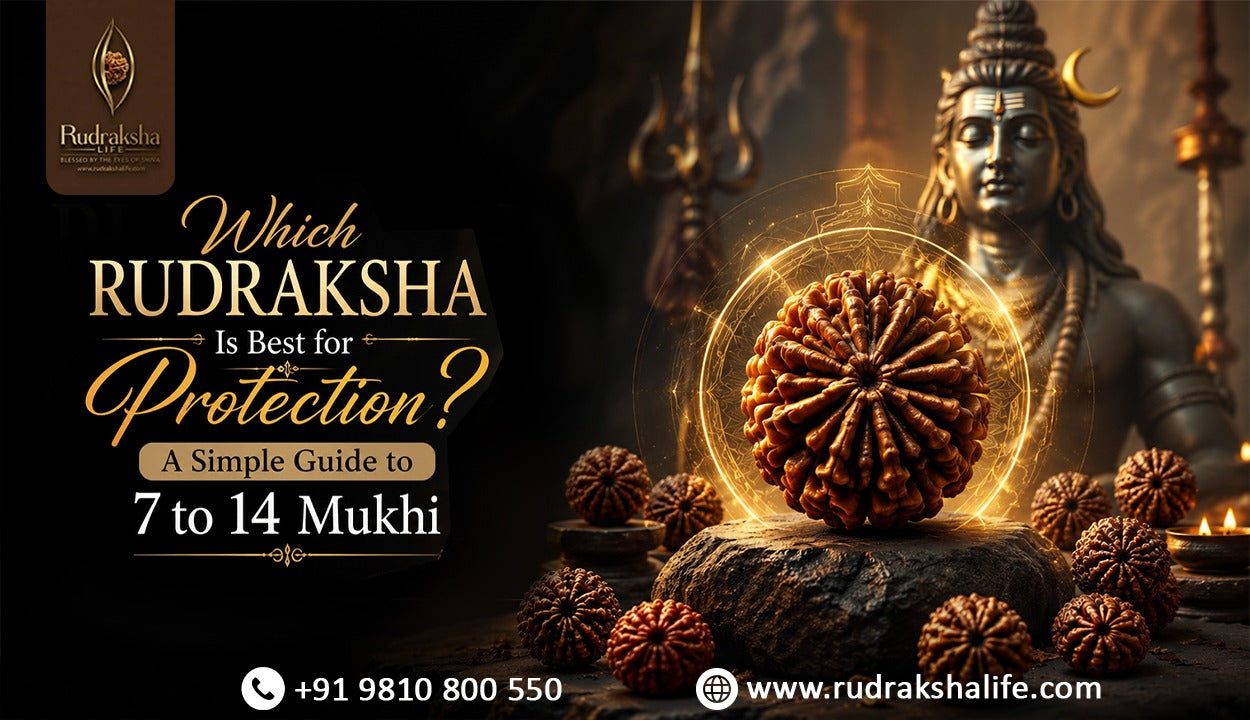 Which Rudraksha Is Best for Protection? A Simple Guide to 7 to 14 Mukhi
