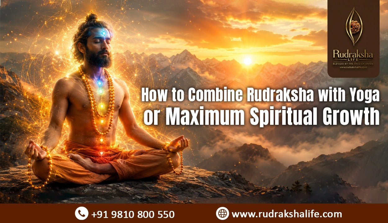 Rudraksha with Yoga Spiritual Growth