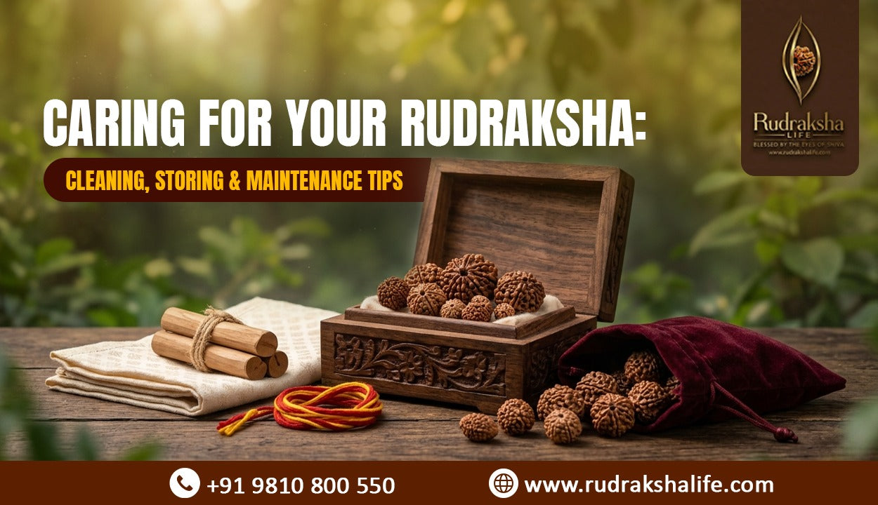 Caring of your Rudraksha