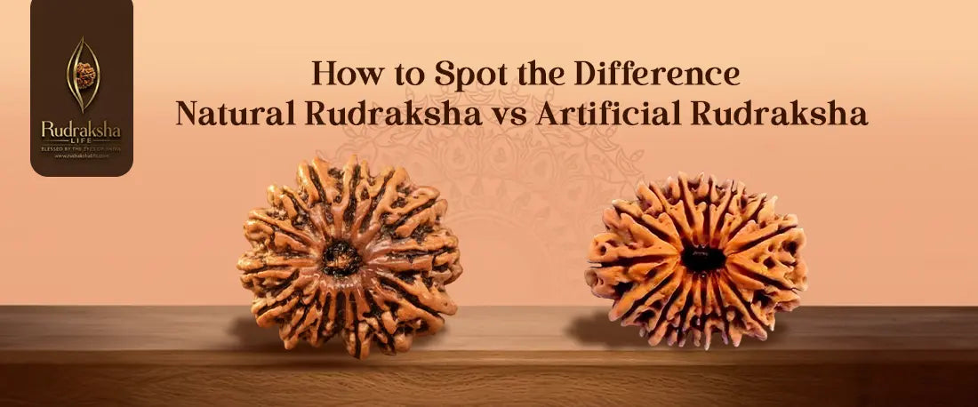 Natural Rudraksha vs Artificial Rudraksha: How to Spot the Difference