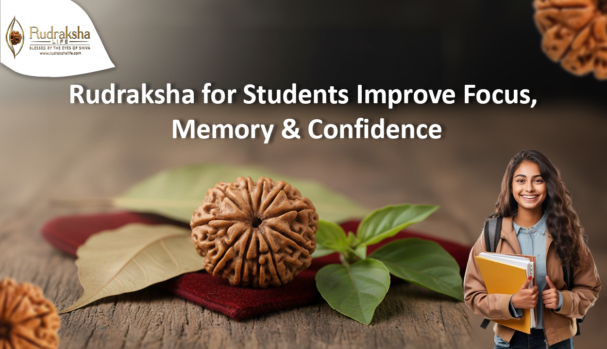 Rudraksha for Students: Improve Focus, Memory & Confidence