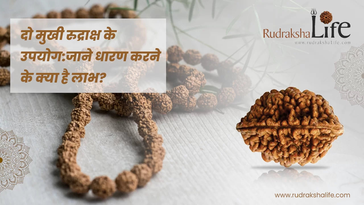 दो मुखी रुद्राक्ष के उपयोग:जाने धारण करने के क्या है लाभ?