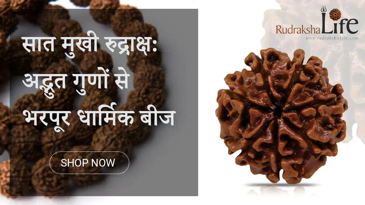 7 मुखी रुद्राक्ष: अद्भुत गुणों से भरपूर धार्मिक बीज