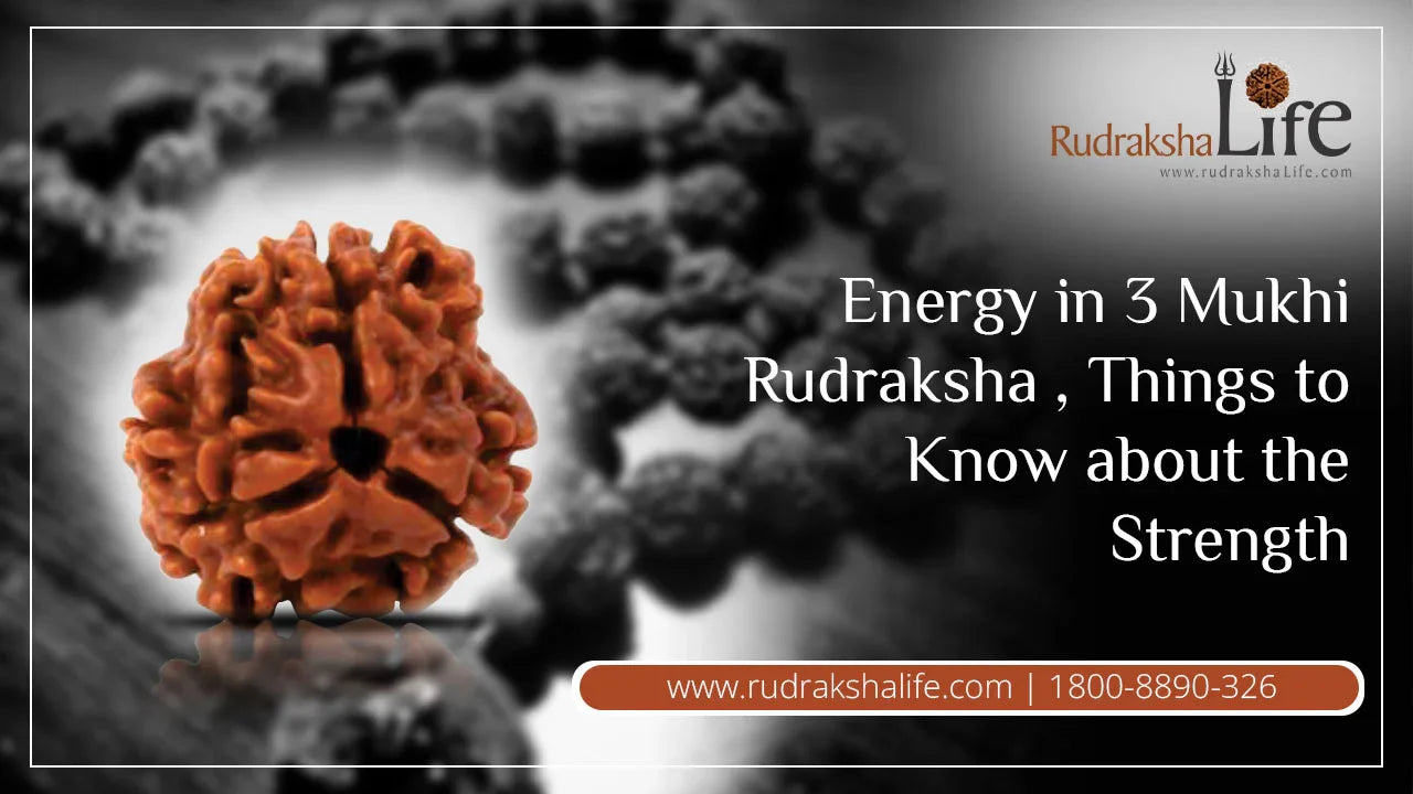 Energy in 3 Mukhi Rudraksha, Things to Know about the Strength