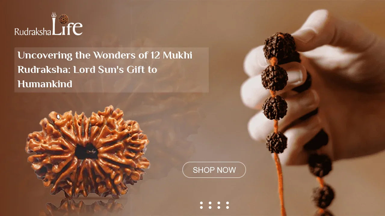 Uncovering the Wonders of 12 Mukhi Rudraksha: Lord Sun’s Gift to Humankind
