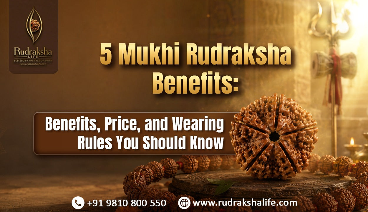 5 Mukhi Rudraksha Benefits