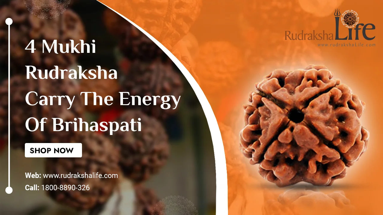 4 Mukhi Rudraksha – Carry The Energy Of Brihaspati