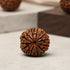 13 Mukhi Rudraksha