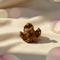 Kamal Rudraksha
