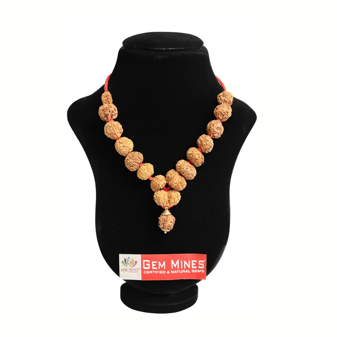 Nepali Rudraksha Mala Regular