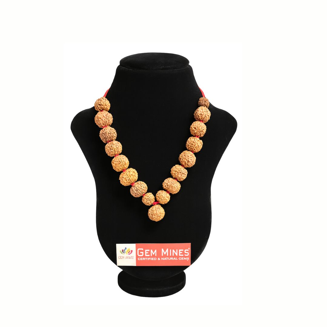 Nepali Rudraksha Mala Collector