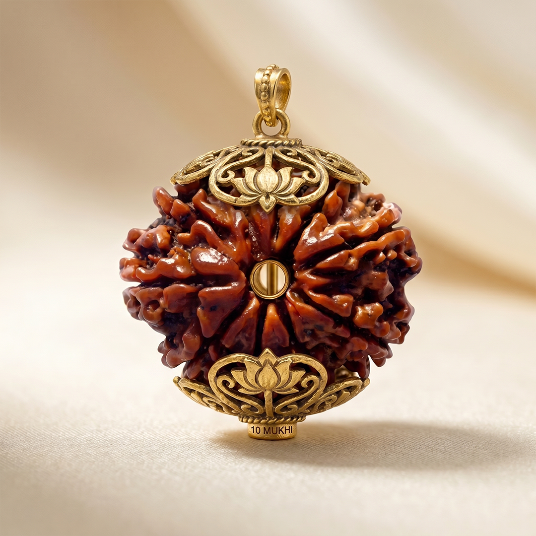 10 MUKHI RUDRAKSHA Unique