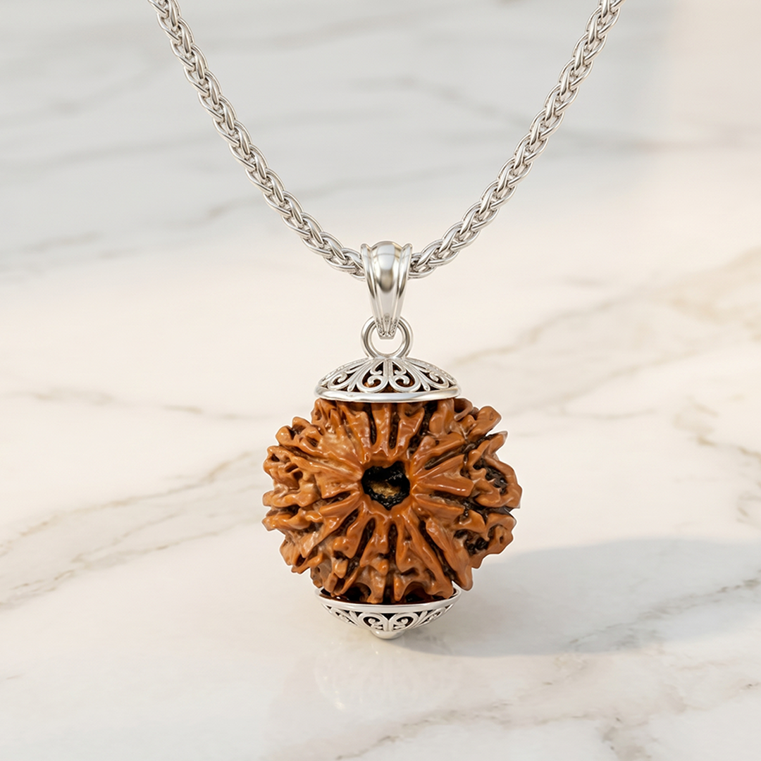 12 MUKHI RUDRAKSHA Regular