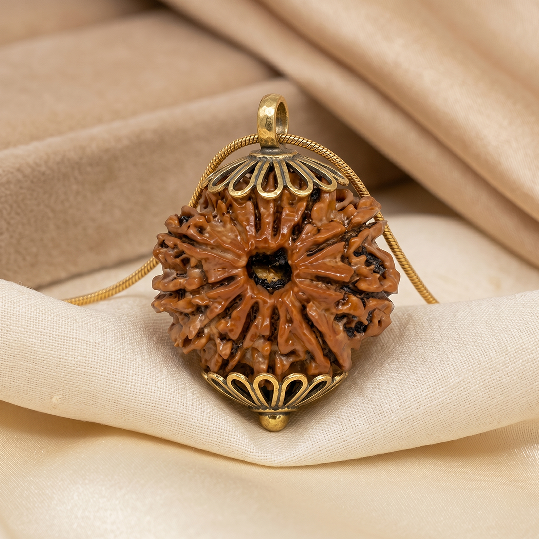12 MUKHI RUDRAKSHA Regular