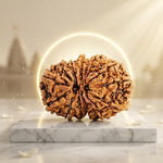13 Mukhi Gauri Shankar Rudrkasha nepali (Premium)