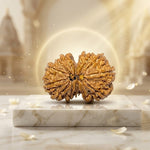 13 Mukhi Gauri Shankar Rudrkasha nepali (Unique)